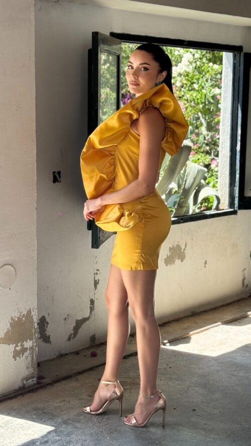 Vestido Alzar